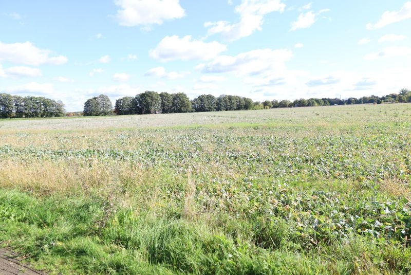 brandenburg 42 K 22/25 , 01990 Großkmehlen OT Kleinkmehlen 1