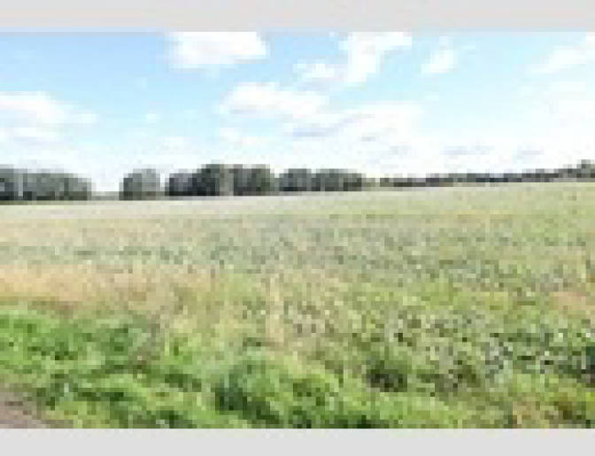 brandenburg 42 K 22/25 , 01990 Großkmehlen OT Kleinkmehlen 2
