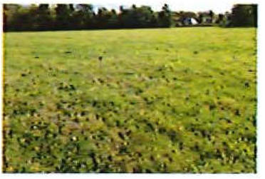 brandenburg 42 K 23/25 , 01990 Großkmehlen OT Kleinkmehlen 3