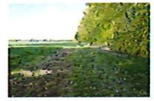 brandenburg 42 K 25/25 , 01990 Großkmehlen OT Kleinkmehlen 6