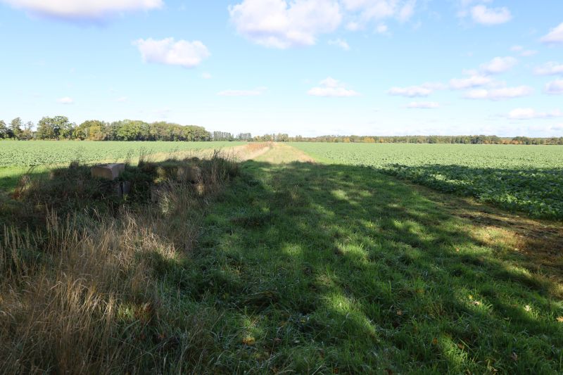 brandenburg 42 K 25/25 , 01990 Großkmehlen OT Kleinkmehlen 5