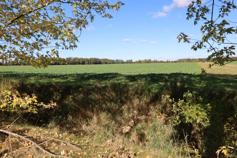 brandenburg 42 K 26/25 , 01990 Großkmehlen OT Kleinkmehlen 3