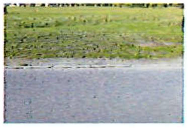 brandenburg 42 K 27/25 , 01990 Großkmehlen OT Kleinkmehlen 5