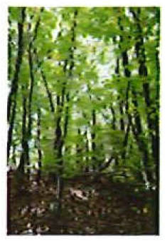 brandenburg 42 K 28/25 , 01990 Großkmehlen OT Kleinkmehlen 5