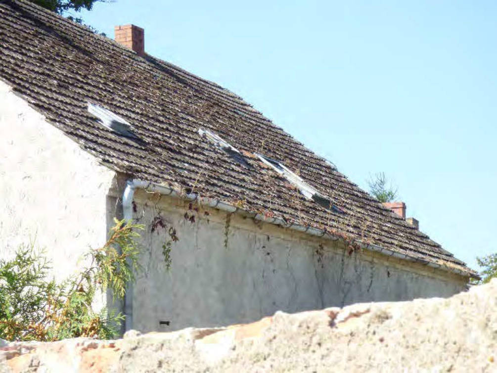 brandenburg 52 K 14/22 Lindenstraße 1, 15913 Märkische Heide OT Alt Schadow 26