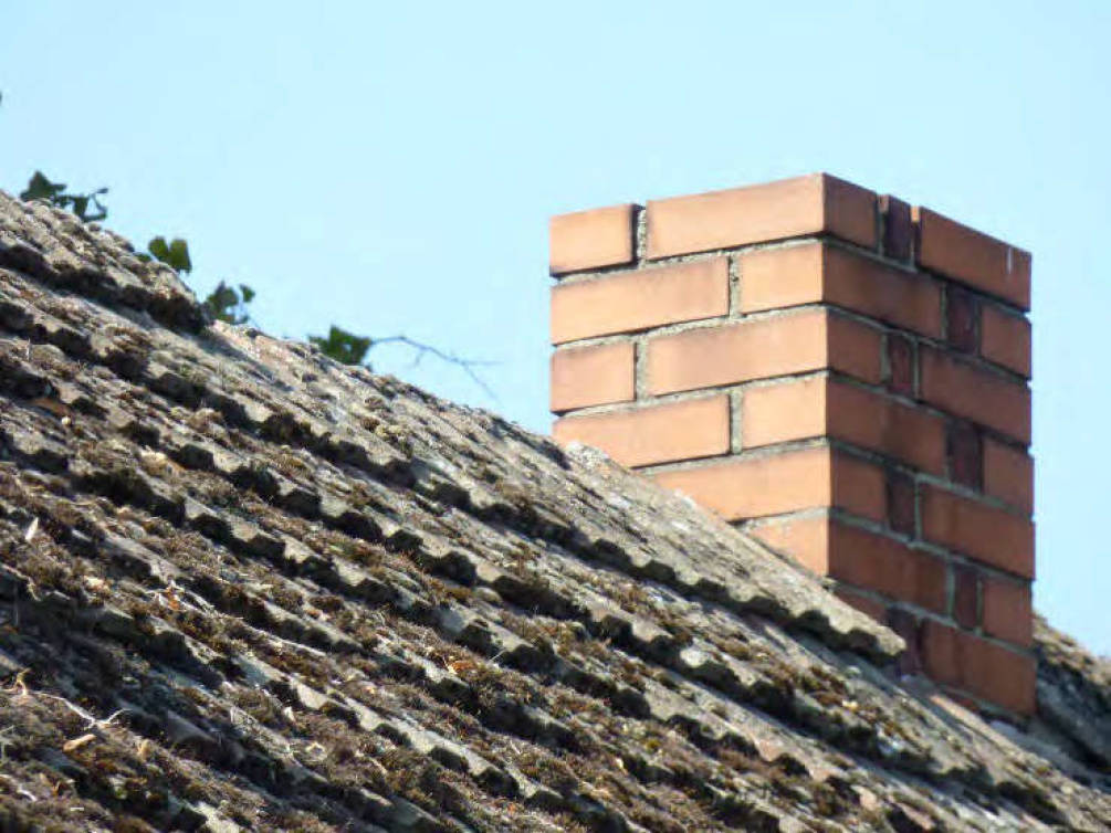 brandenburg 52 K 14/22 Lindenstraße 1, 15913 Märkische Heide OT Alt Schadow 15