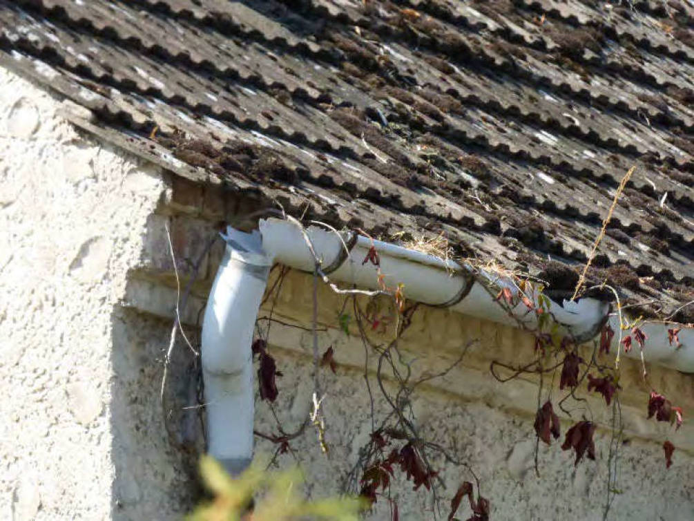 brandenburg 52 K 14/22 Lindenstraße 1, 15913 Märkische Heide OT Alt Schadow 25