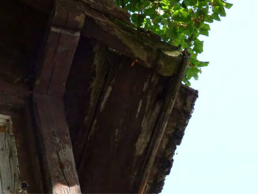 brandenburg 52 K 14/22 Lindenstraße 1, 15913 Märkische Heide OT Alt Schadow 20