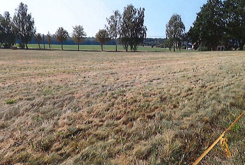 Land-/Forstwirtschaft in an der Mochower Dorfstraße, 15913 Mochow