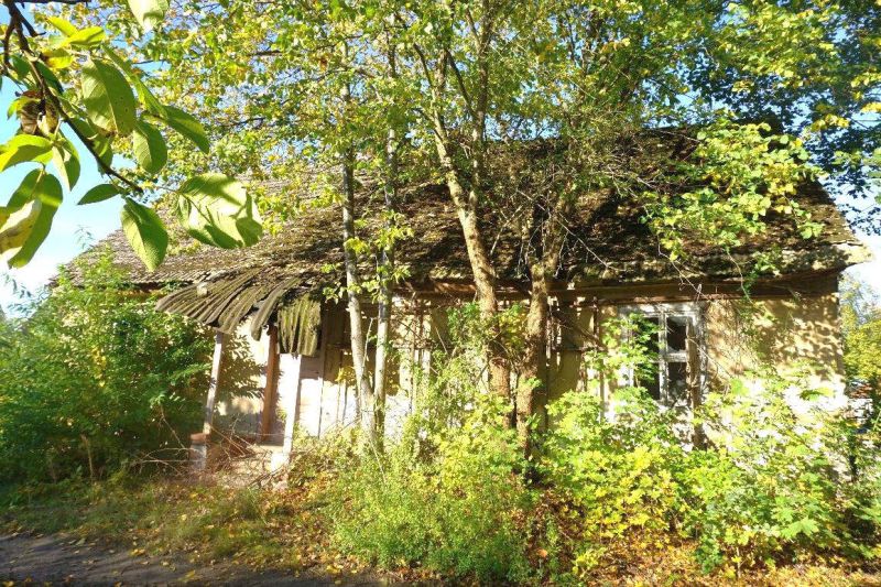 Wohnhaus/Landwirtschaftsflächen in Dorfstraße 90, 15910 Schlepzig - Bild 2