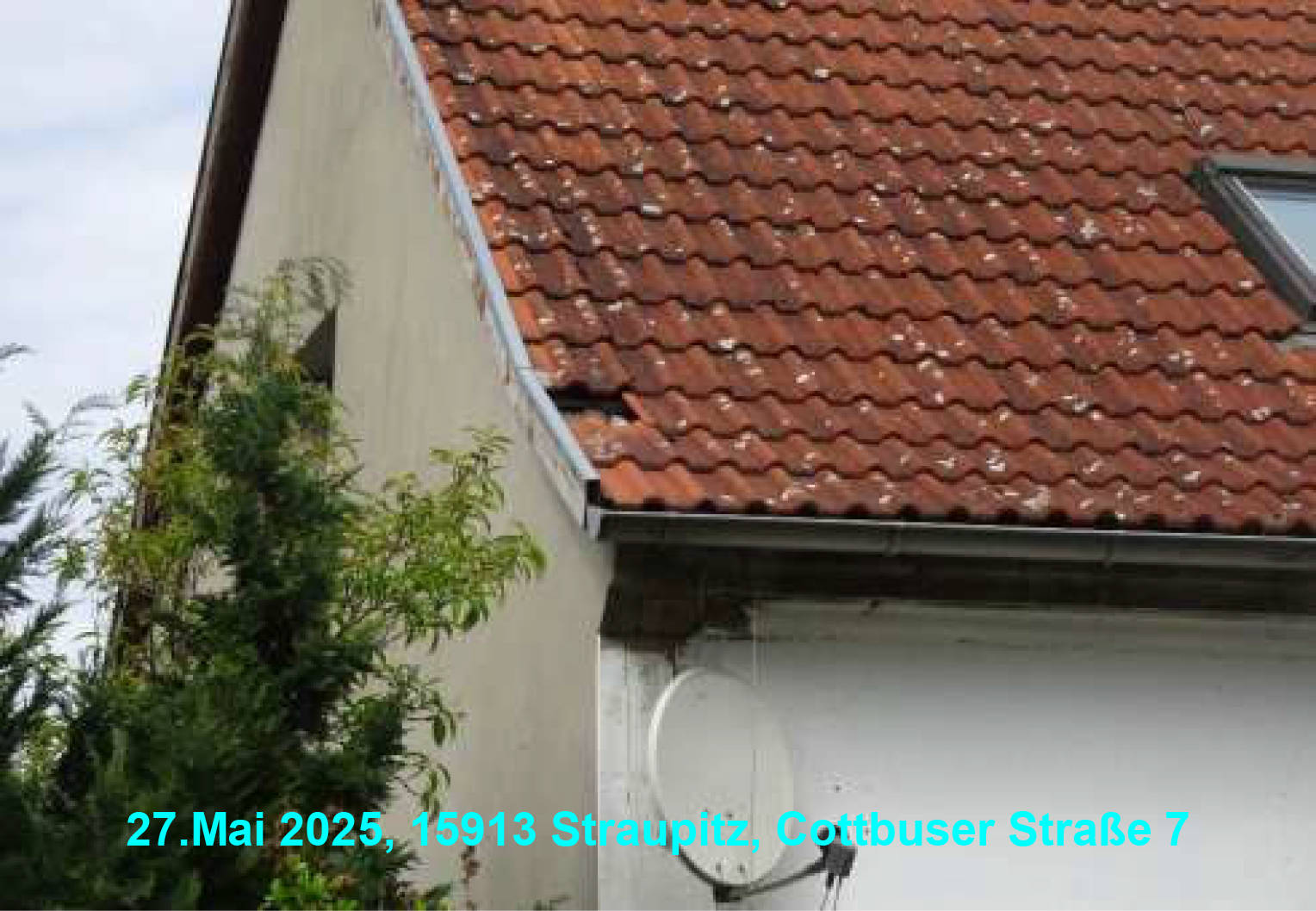 brandenburg 52 K 27/24 Cottbuser Straße 7, 15913 Straupitz (Spreewald) 28