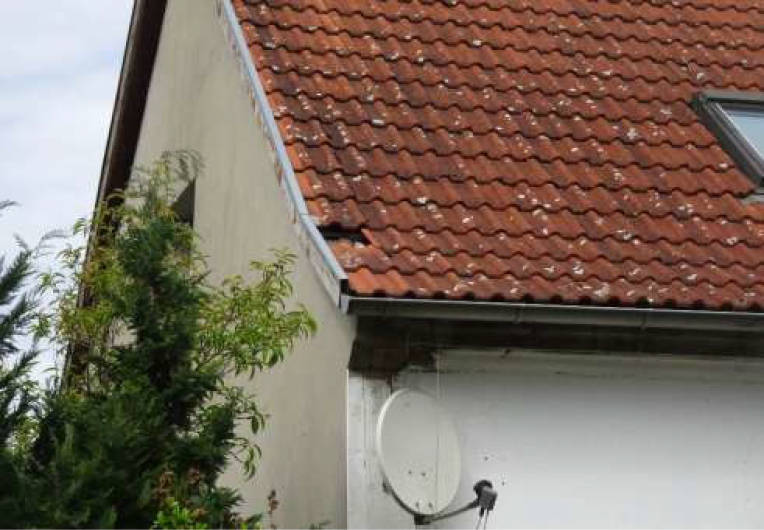 brandenburg 52 K 27/24 Cottbuser Straße 7, 15913 Straupitz (Spreewald) 31