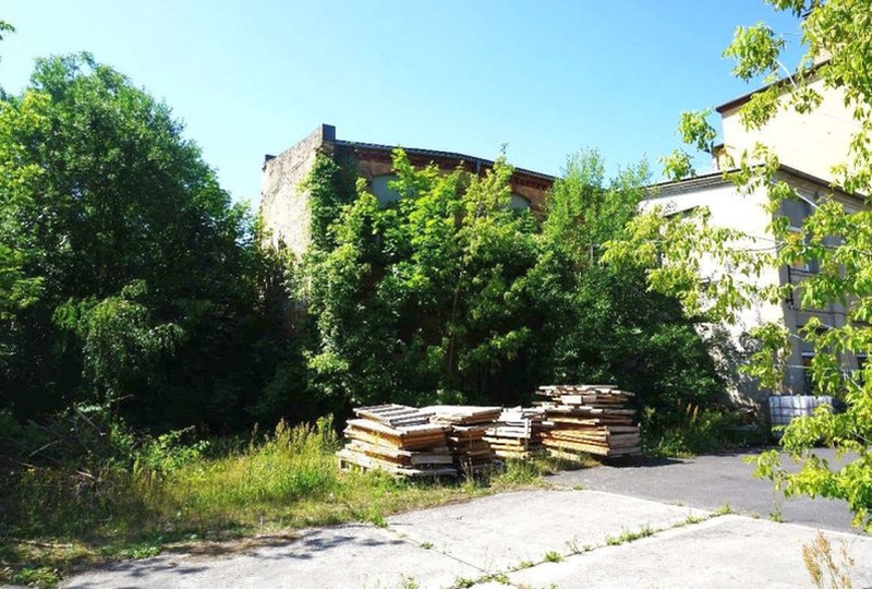 Wohnen/Gewerbe in Rüdigerstraße 14, 03149 Forst (Lausitz)