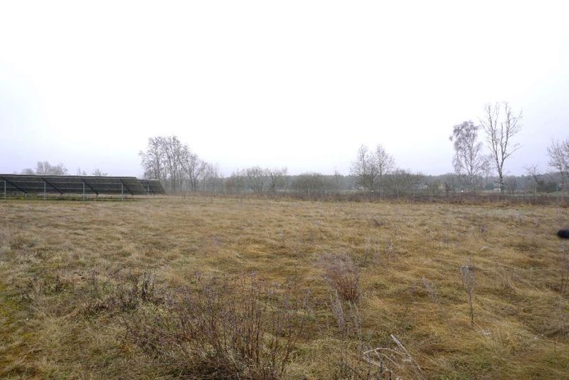 Land-/Forstwirtschaft in , 03058 Neuhausen/Spreee OT Frauendorf - Bild 5