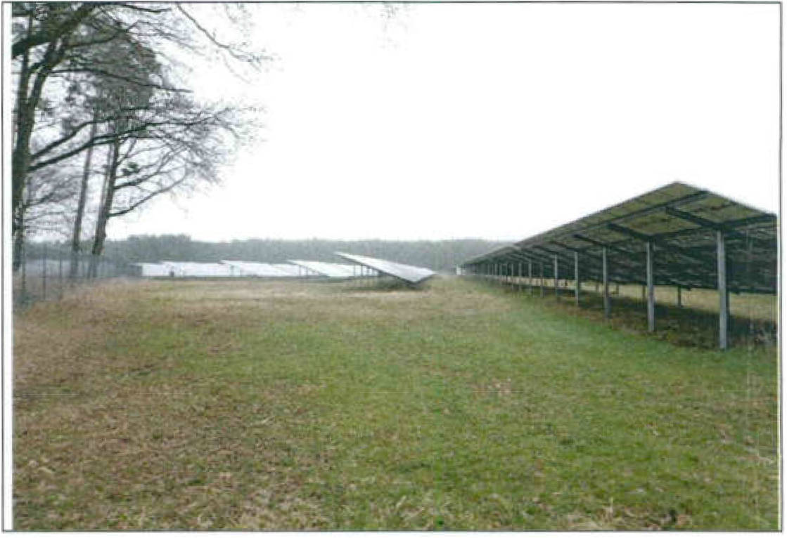 Land-/Forstwirtschaft in , 03058 Neuhausen/Spreee OT Frauendorf - Bild 3