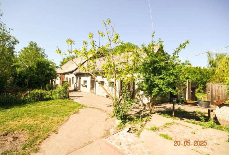 Wohnhaus/Landwirtschaftsflächen in Nassenheider Chaussee 20, 16559 Liebenwalde OT Neuholland - Bild 3