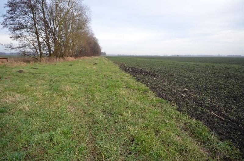 brandenburg 7 K 133/24 Friedensstraße 12, 16845 Dreetz 8