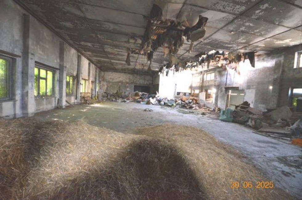 brandenburg 0007 K 0138/2024 Steindammer Weg, 16792 Zehdenick/Havel 7