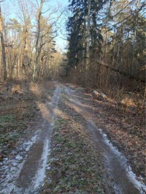 brandenburg 7 K 149/25 , 16306 Groß Pinnow, Hohenselchow 7