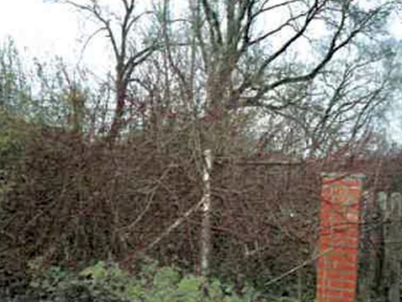 brandenburg 7 K 16-24 Burgstraße 16a, 16b, 16909 Wittstock OT Freyenstein