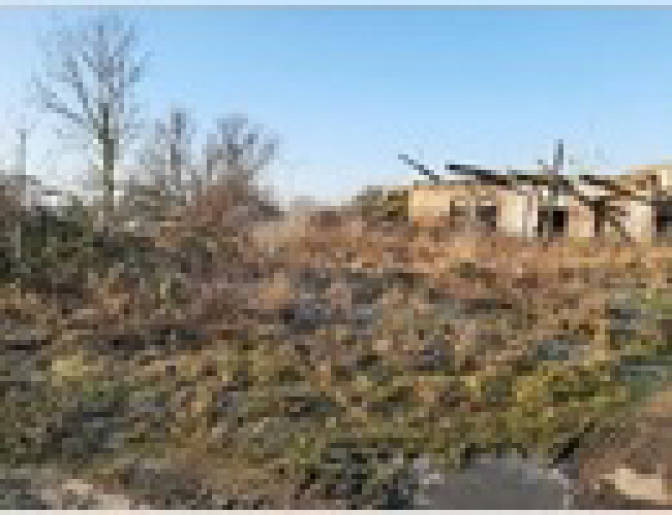 Grundstück in , 17291 Falkenwalde - Weselitz