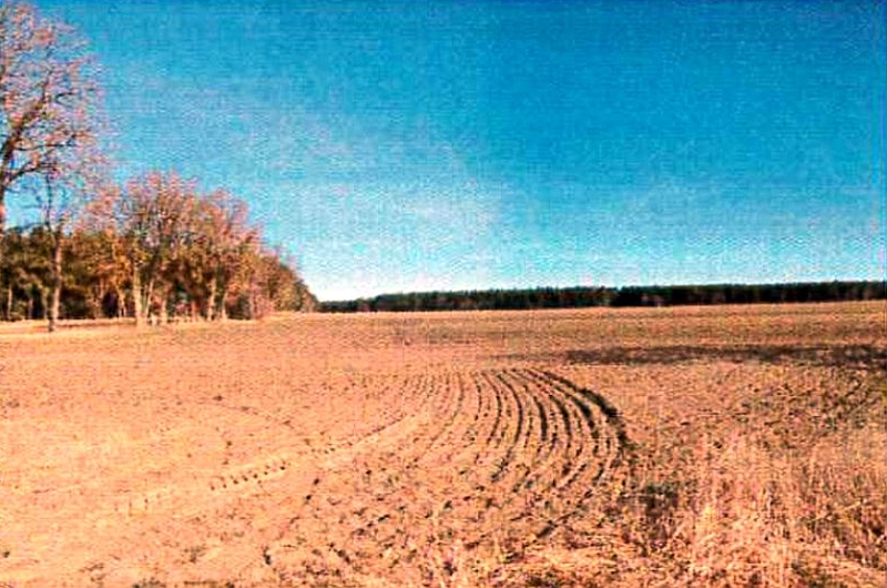 Land-/Forstwirtschaft in , 16909 Heiligengrabe OT Königsberg - Bild 2