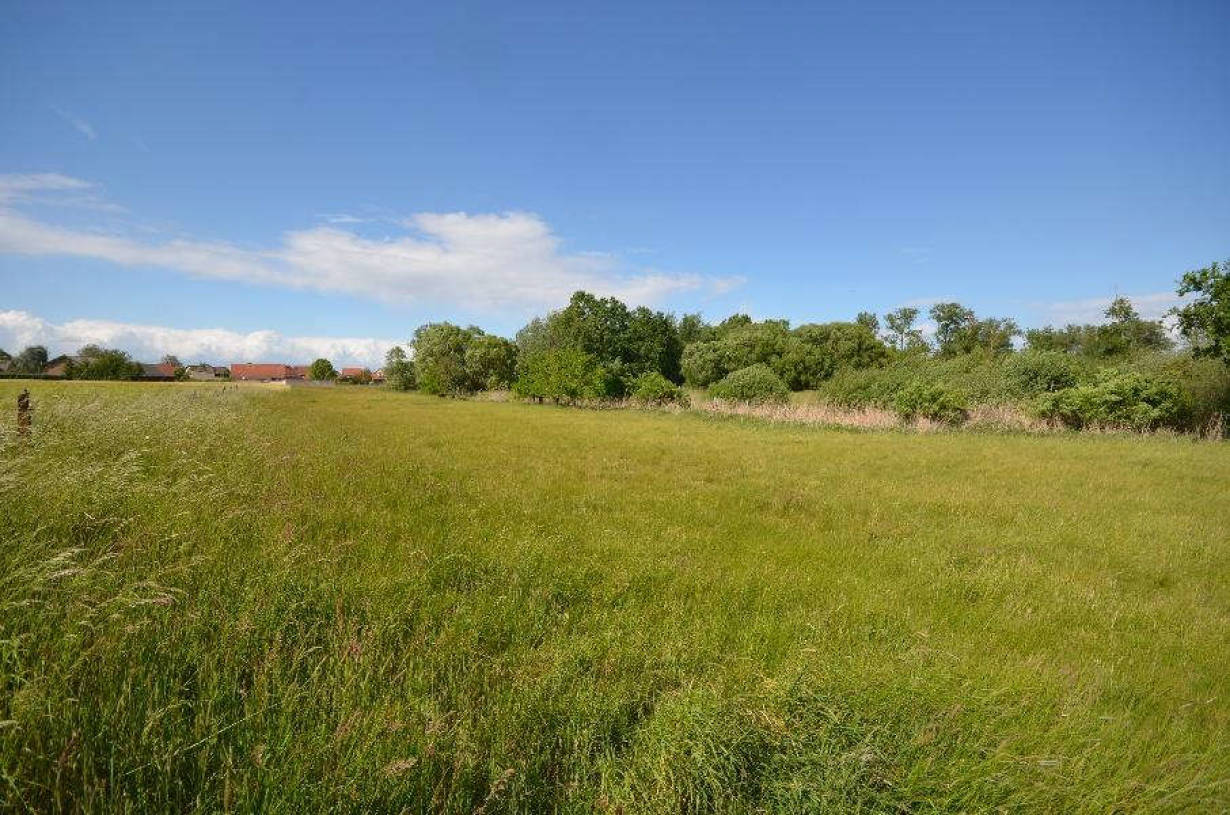 brandenburg 7 K 170/24 Kremmener Weg 2, 16766 Kremmen OT Groß Ziethen 8