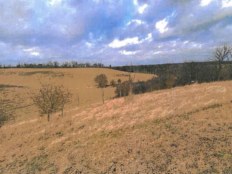 unbebautes Grundstück, land- und forstwirtschaftlich genutztes Grundstück, Sonstiges in , 16306 Schwedt/Oder OT Passow - Bild 2