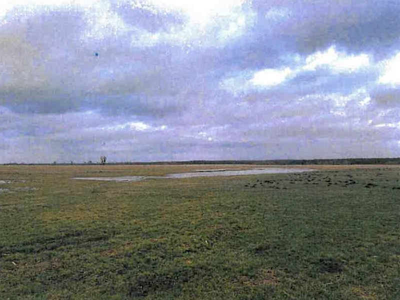 unbebautes Grundstück, land- und forstwirtschaftlich genutztes Grundstück, Sonstiges in , 16306 Schwedt/Oder OT Passow - Bild 5