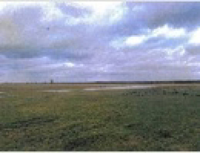 unbebautes Grundstück, land- und forstwirtschaftlich genutztes Grundstück, Sonstiges in , 16306 Schwedt/Oder OT Passow - Bild 3