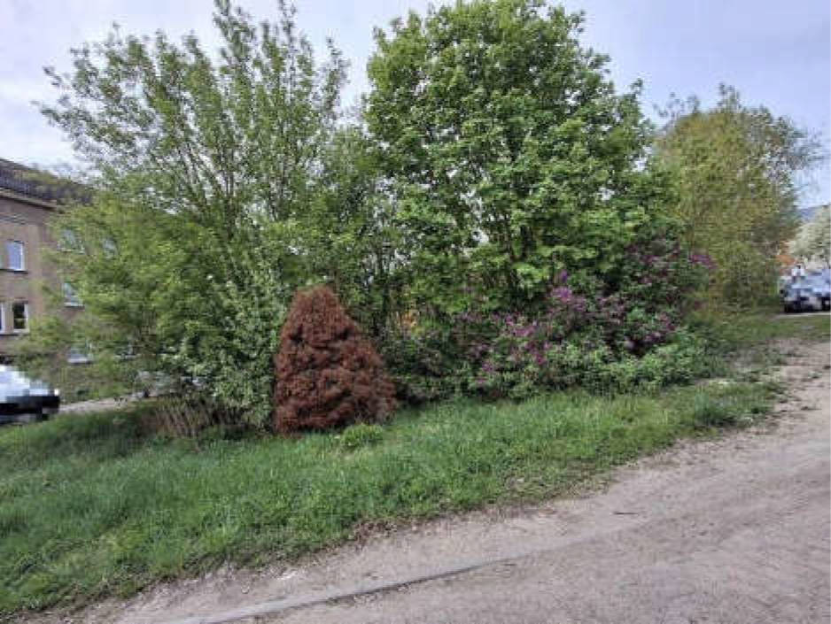 Grundstück in Am Krötenberg 5, 16278 Angermünde - Bild 3