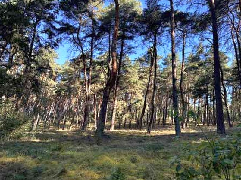 unbebautes Grundstück 7 K 31-25 , 16866 Gumtow OT Döllen