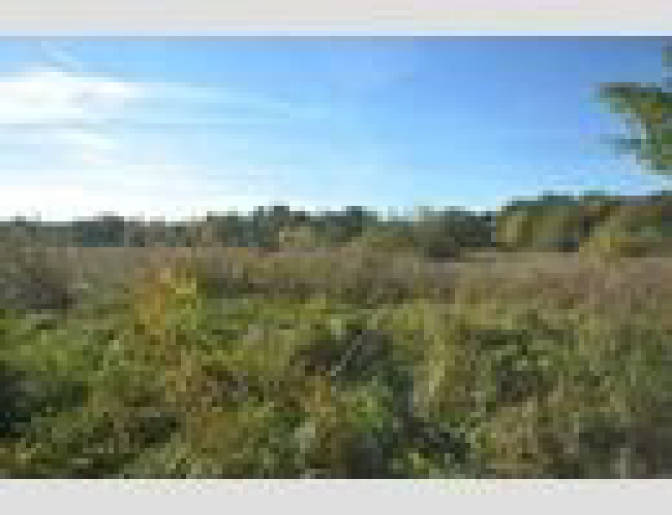 Sonstiges, unbebautes Grundstück in , 16833 Fehrbellin OT Hakenberg - Bild 2