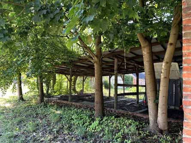 Wohnen/Gewerbe in Dorfstraße 75b, 19339 Plattenburg OT Kletzke - Bild 4