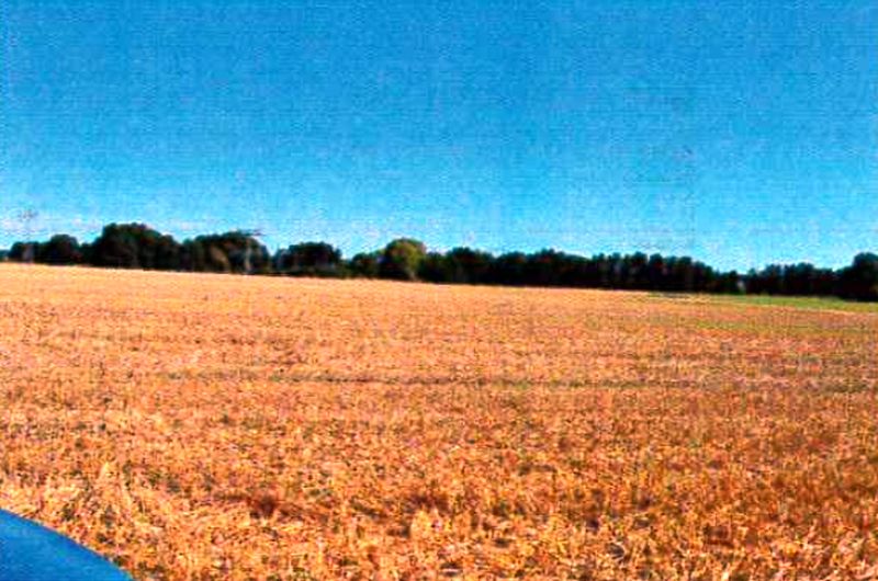 Land-/Forstwirtschaft in , 16909 Wittstock/Dosse