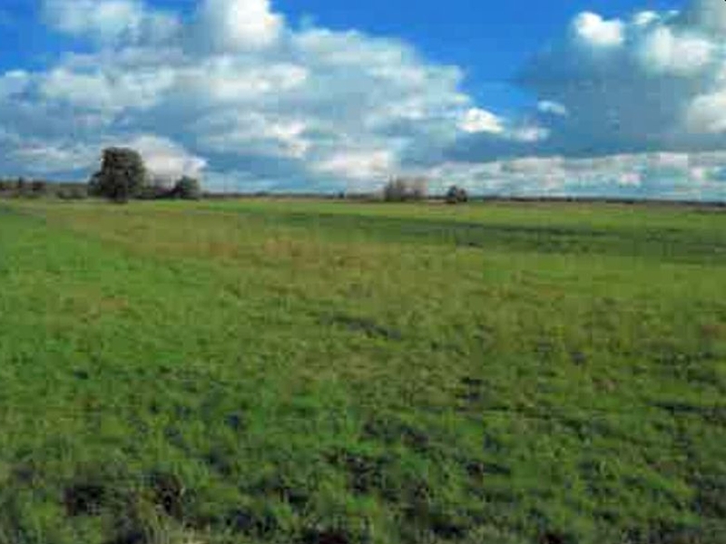 , 16515 Oranienburg OT Zehlendorf