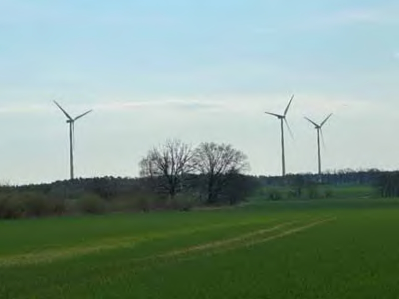 Land-/Forstwirtschaft in , 15749 Mittenwalde - Bild 4