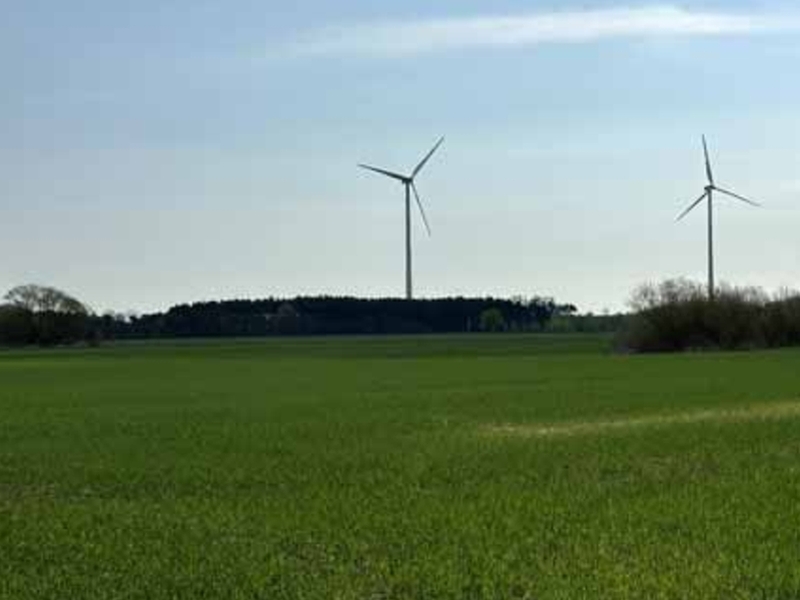 Land-/Forstwirtschaft in , 15749 Mittenwalde