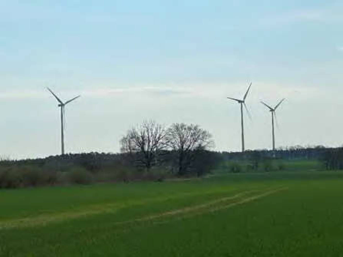 Land-/Forstwirtschaft in , 15749 Mittenwalde - Bild 2
