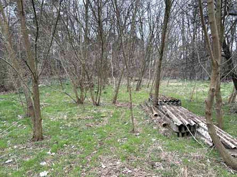 Grundstück in Hauptstraße 42, 15757 Halbe OT Oderin - Bild 5