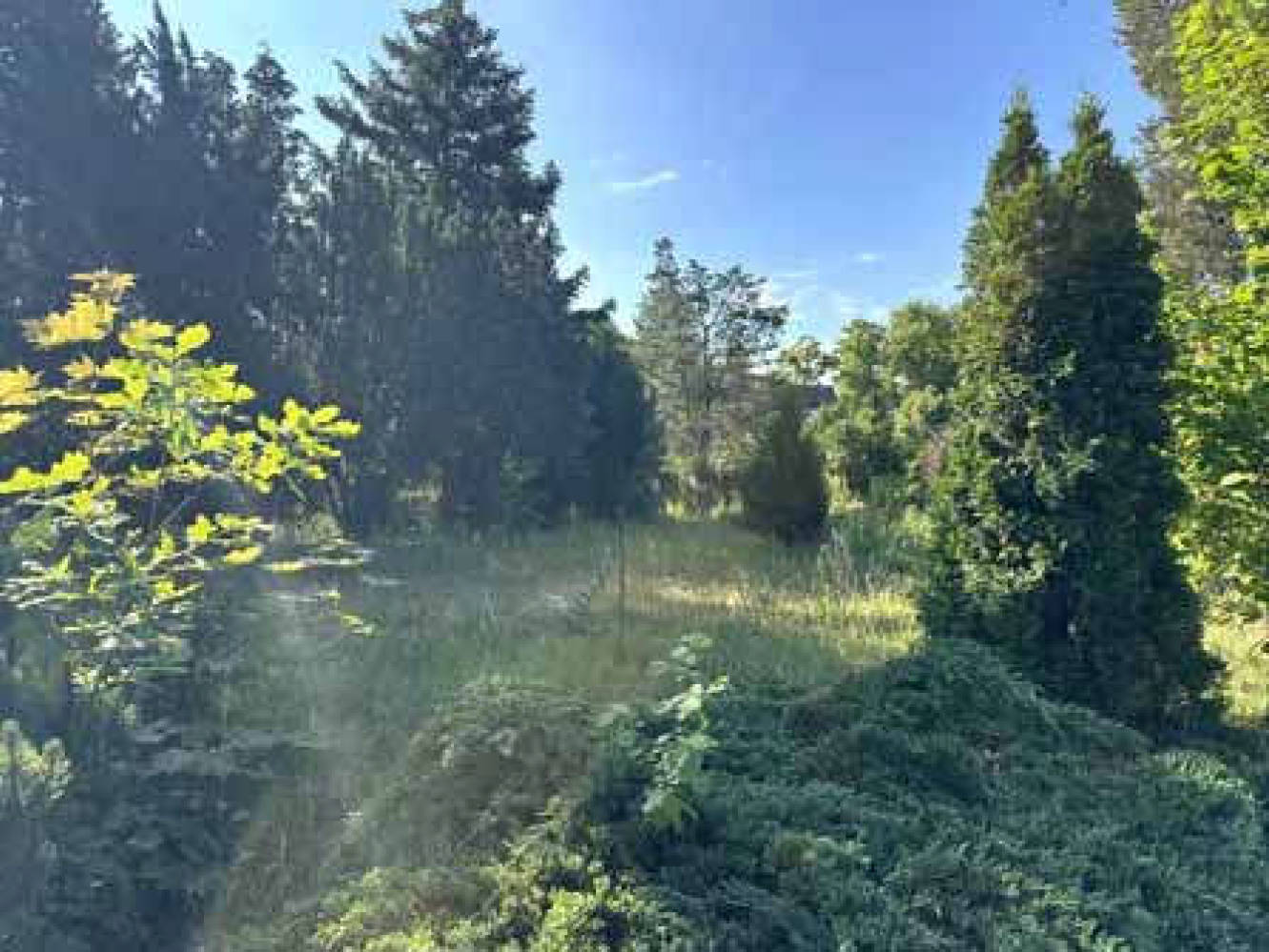 brandenburg 8 K 18/24 Chemnitzer Straße 31, 15732 Schulzendorf 7