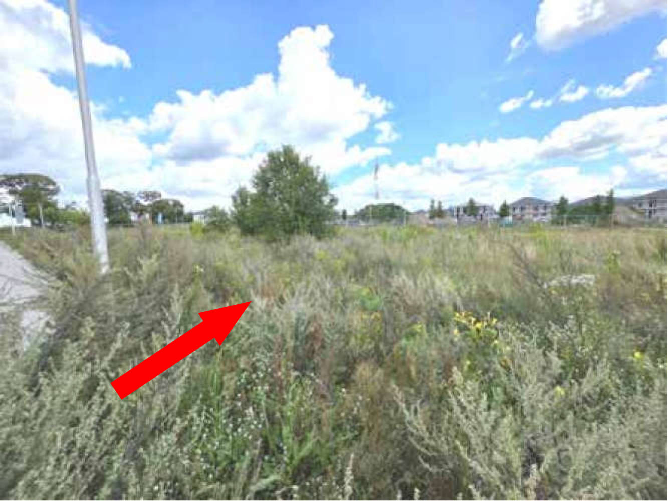 brandenburg 0008 K 0021/2025 Kamillenweg, Milanstraße (ohne Hausnummer), 15732 Schulzendorf 12