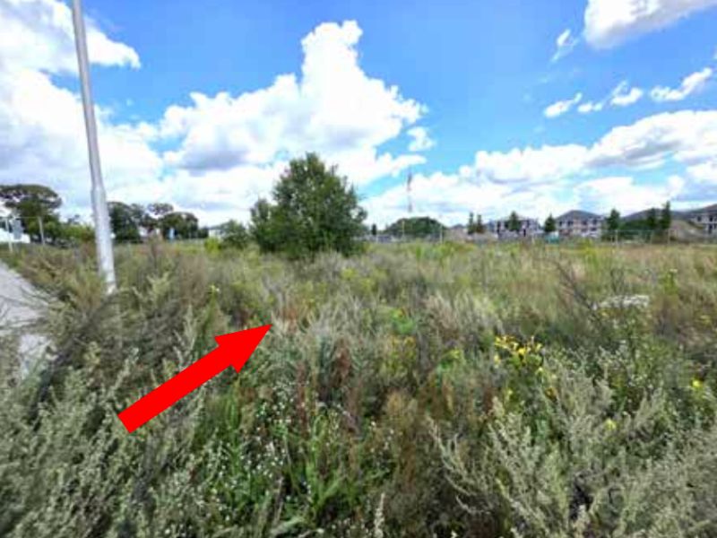 brandenburg 0008 K 0021/2025 Kamillenweg, Milanstraße (ohne Hausnummer), 15732 Schulzendorf 7