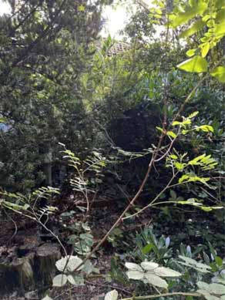 brandenburg 8 K 22/25 Bergstraße 6, 8, 15732 Schulzendorf 11