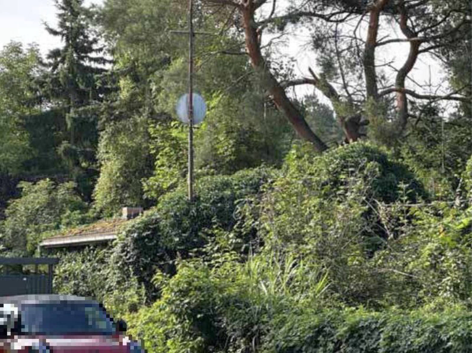 Grundstück in Bergstraße 6, 8, 15732 Schulzendorf - Bild 5