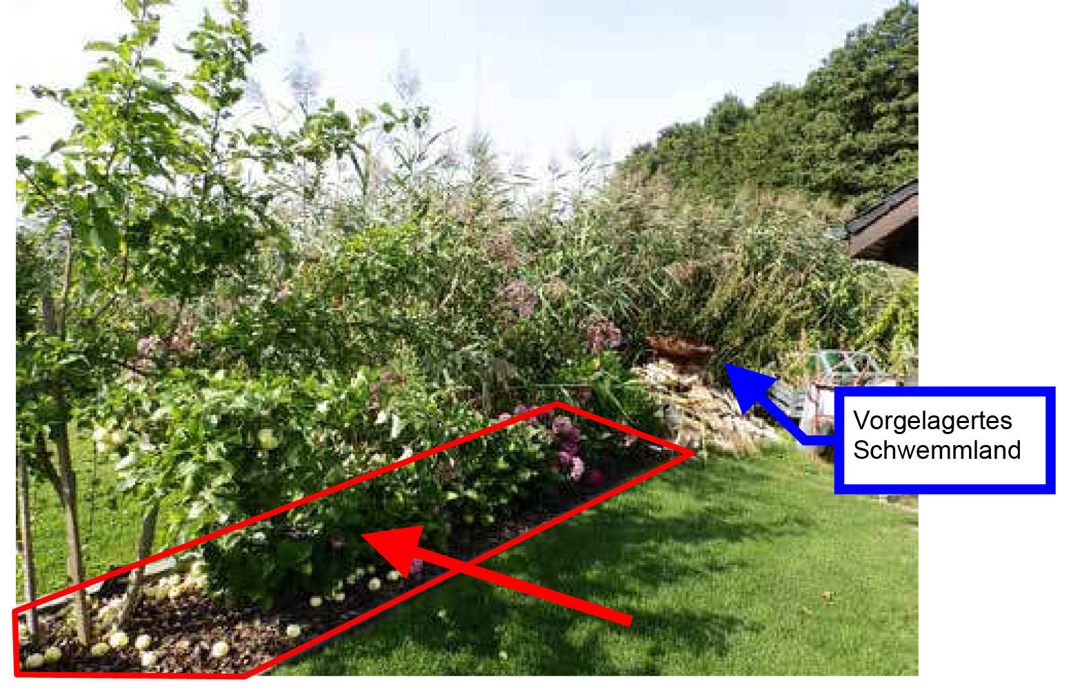 brandenburg 8 K 27/18 (2) Am Werder/Jovestraße 2, 15713 Königs Wusterhausen OT Wernsdorf 19