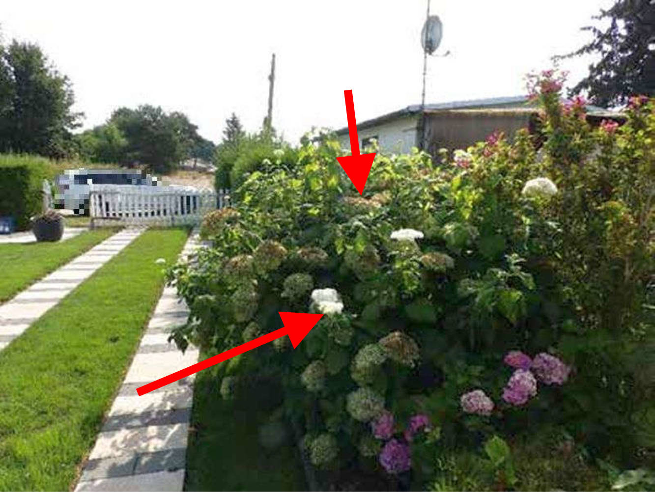 brandenburg 8 K 27/18 (2) Am Werder/Jovestraße 2, 15713 Königs Wusterhausen OT Wernsdorf 18