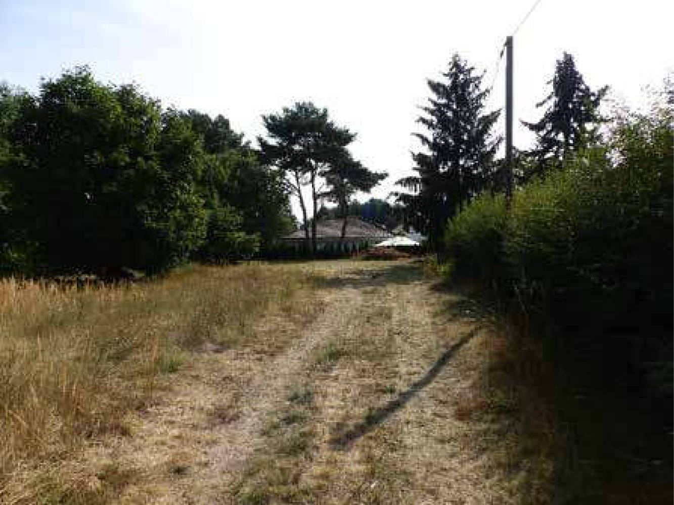 Grundstück in Am Werder/Jovestraße 2, 15713 Königs Wusterhausen OT Wernsdorf - Bild 4