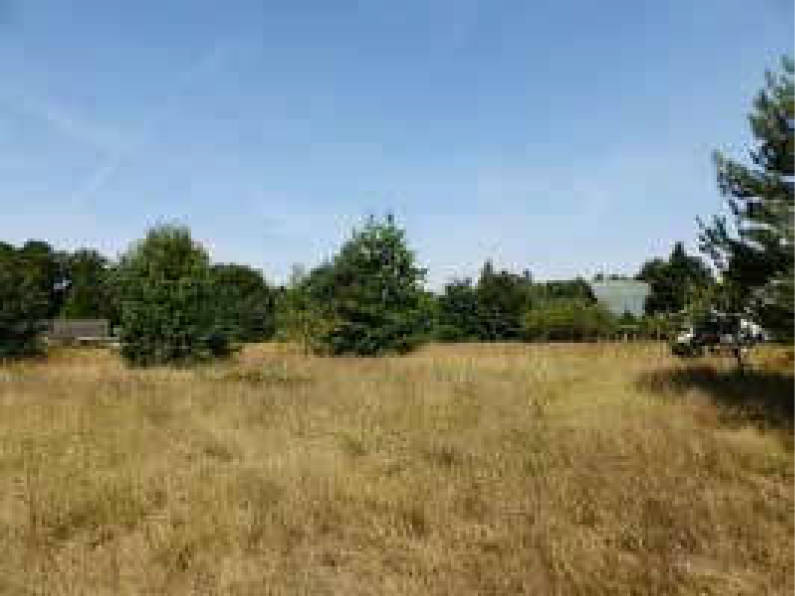 brandenburg 8 K 27/18 (2) Am Werder/Jovestraße 2, 15713 Königs Wusterhausen OT Wernsdorf 13