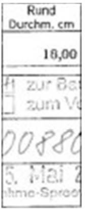 brandenburg 8 K 28/25 Fichtestraße 14, 15745 Wildau 26